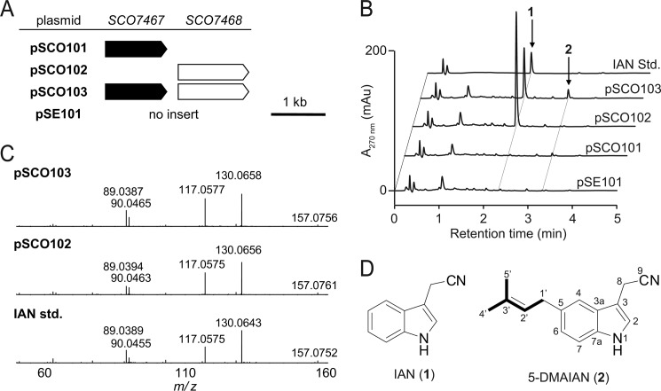 FIGURE 2.