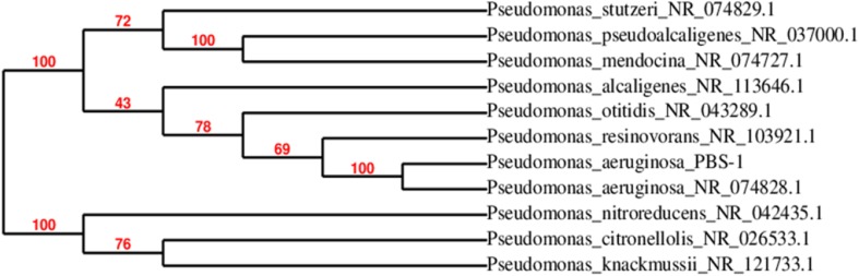 Fig. 1