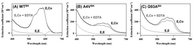 FIG. 5