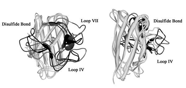 FIG. 6