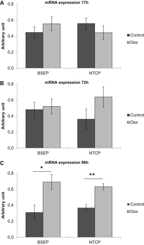 Figure 4