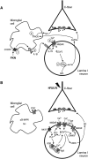 Figure 13.