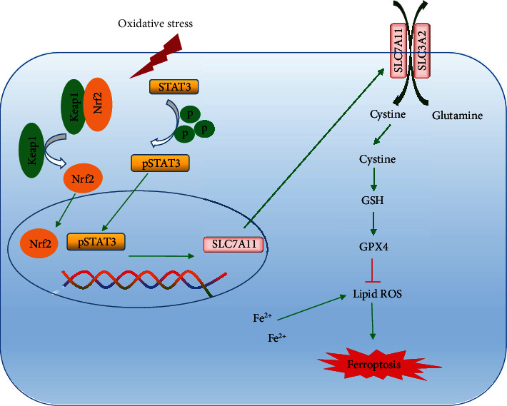 Figure 9