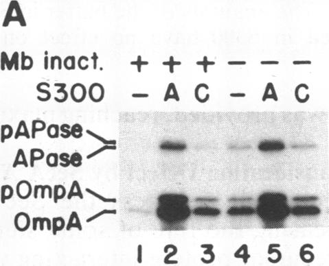 graphic file with name pnas00302-0195-a.jpg