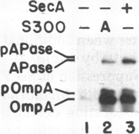 graphic file with name pnas00302-0195-b.jpg