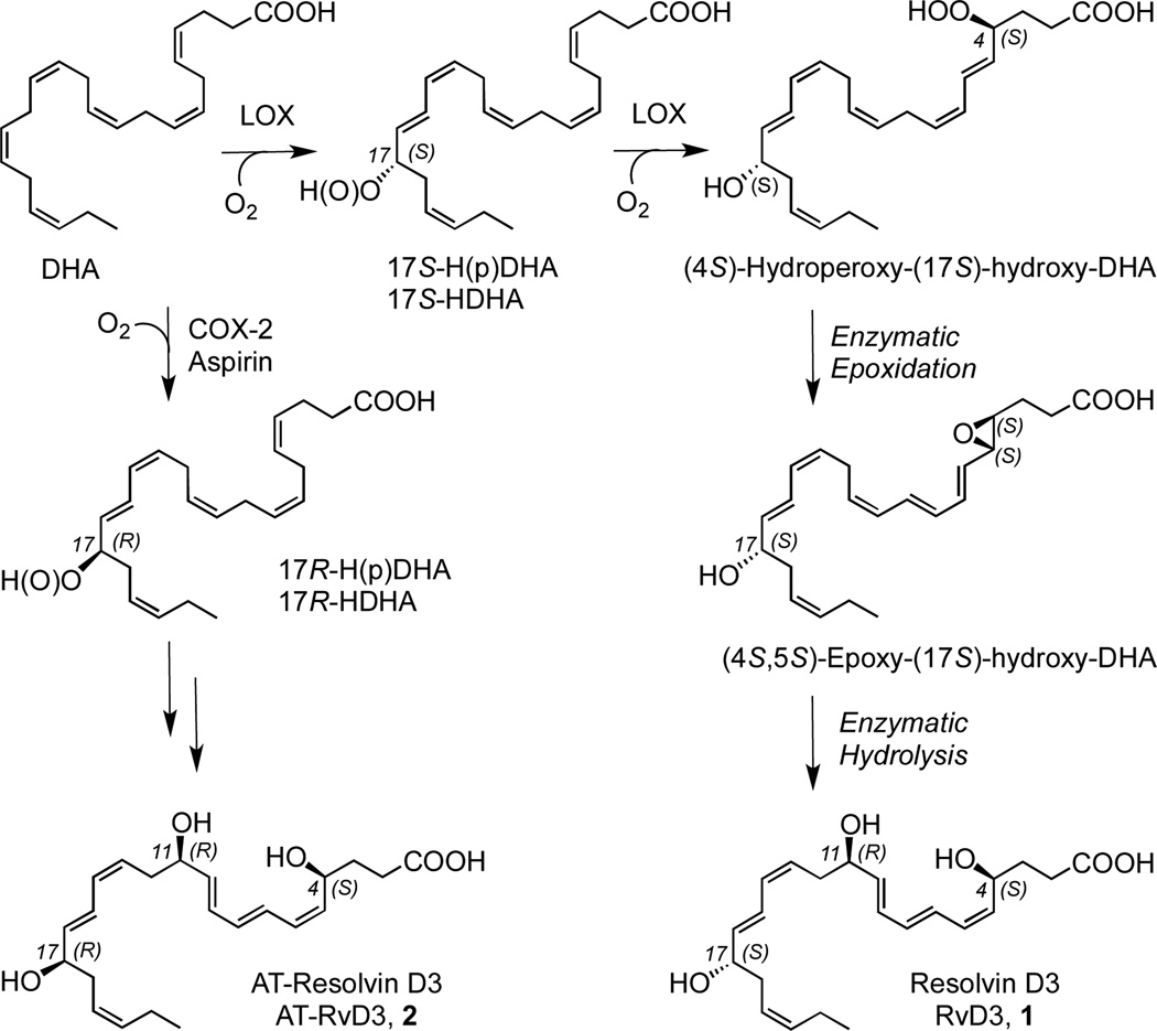 Scheme 1