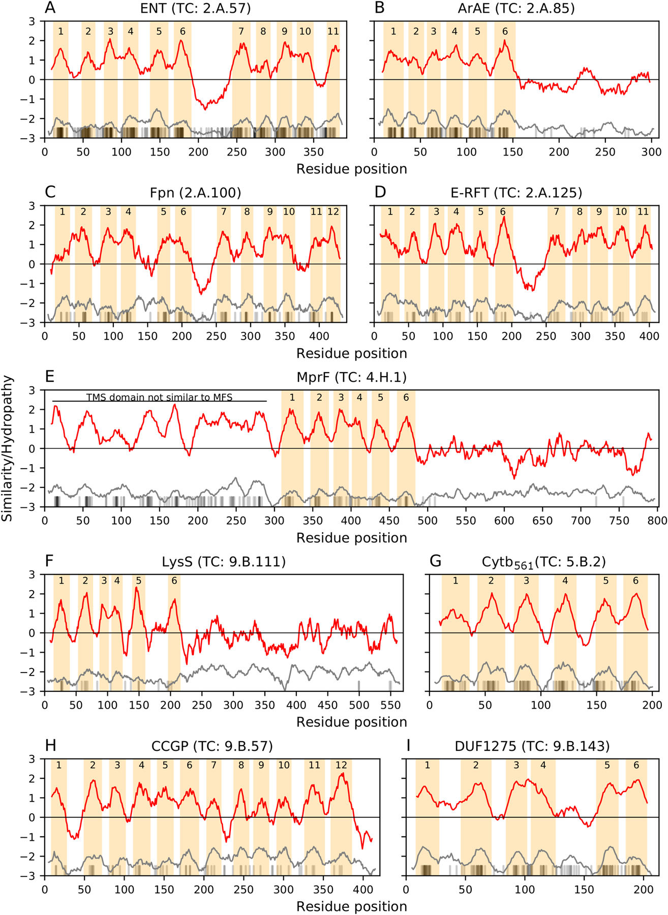 Fig 1.