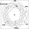 Figure 8