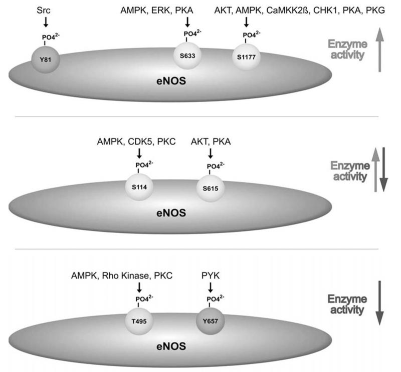 Fig. (3)