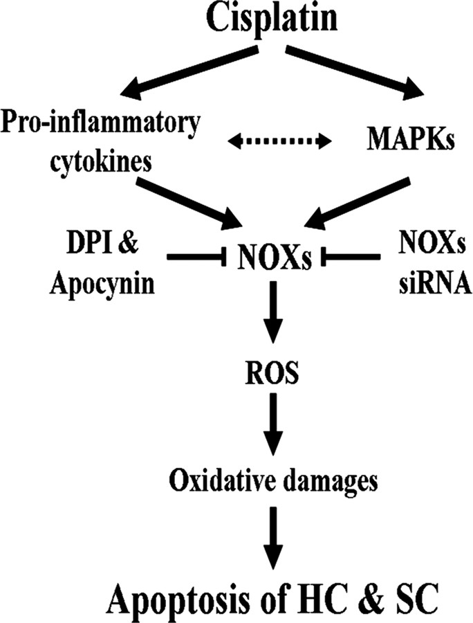 Figure 16.