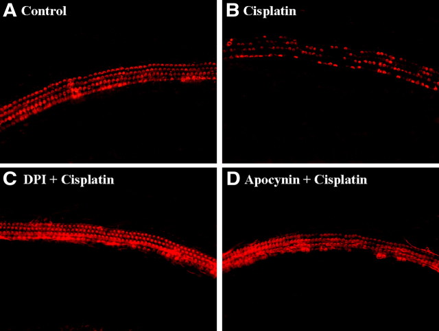 Figure 10.