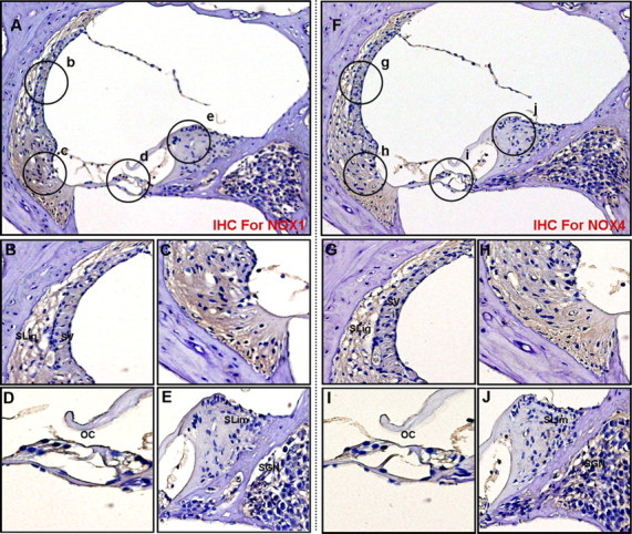 Figure 14.