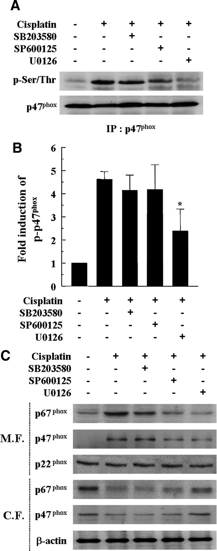 Figure 9.