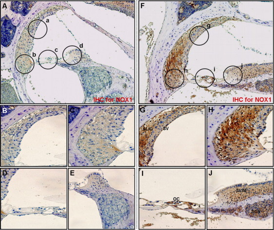 Figure 12.