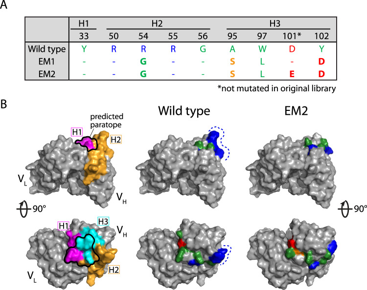 Fig. 7