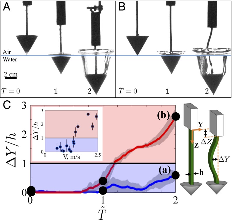 Fig. 2.