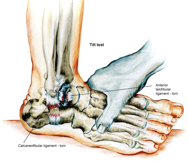 Fig. 8