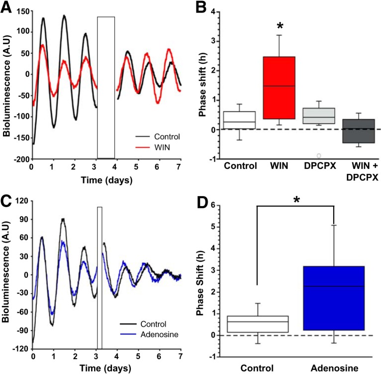 Figure 10.