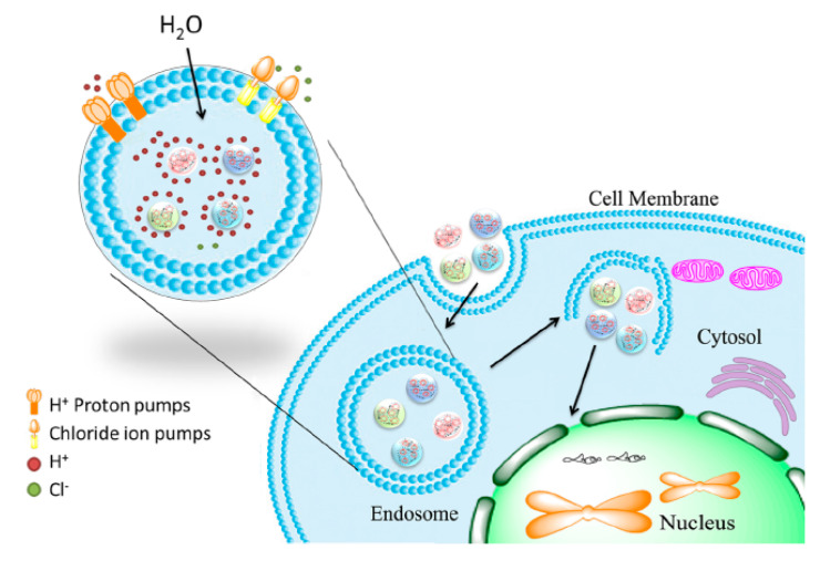 Figure 13