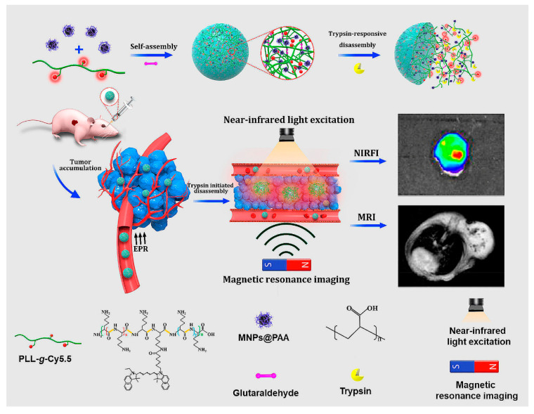 Figure 21