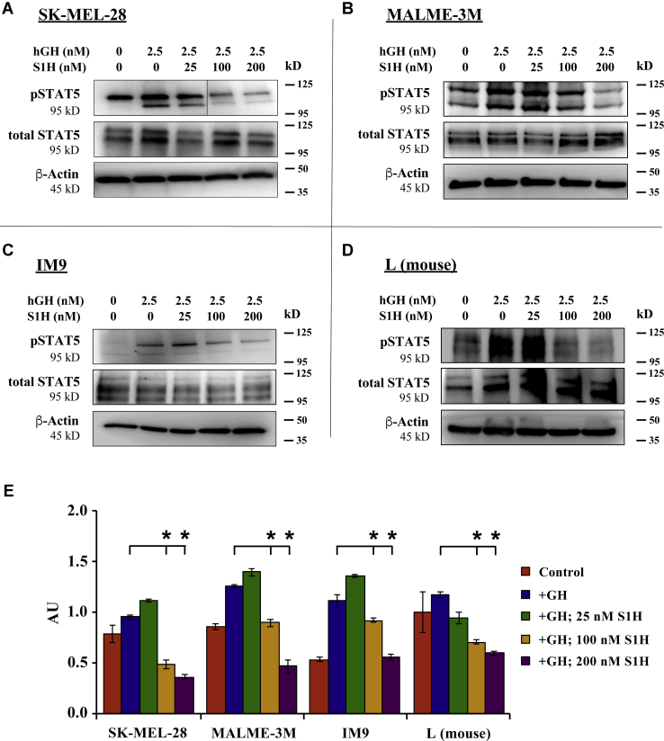 Figure 4