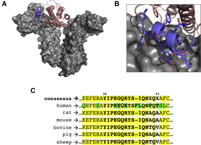 Figure 1