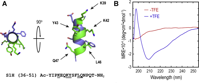 Figure 2