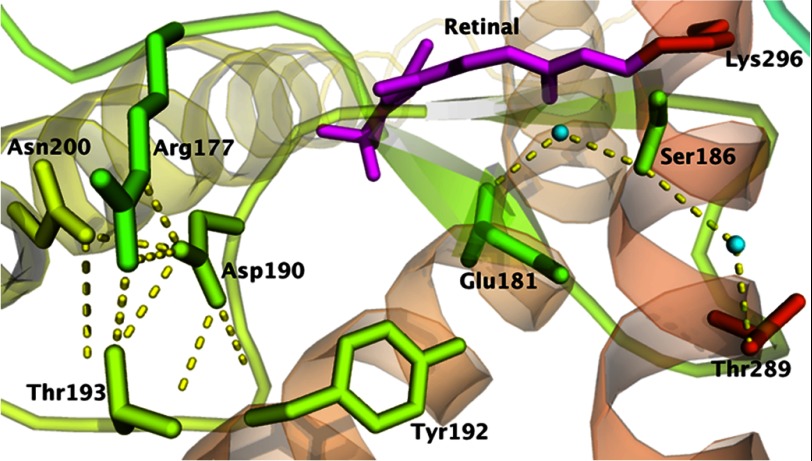 FIGURE 1.