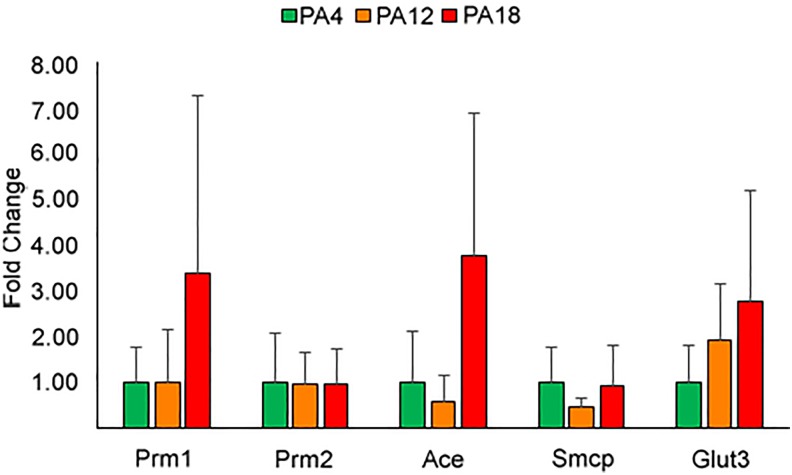 Figure 4.