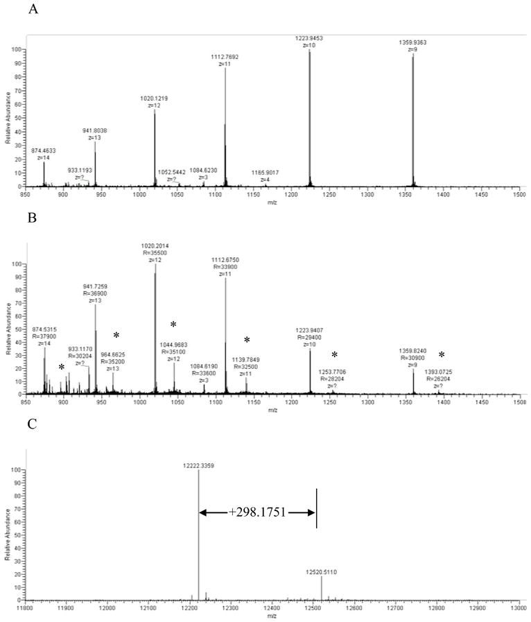 Fig. 10