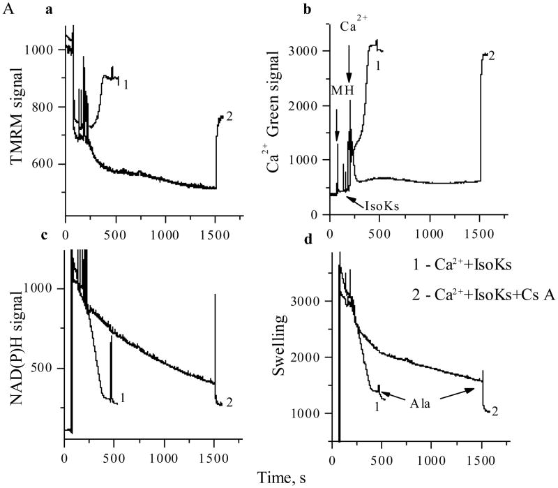 Fig. 4