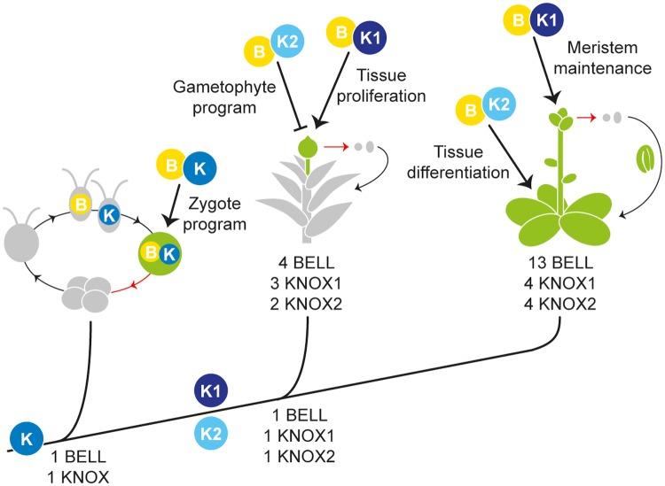 Fig 6