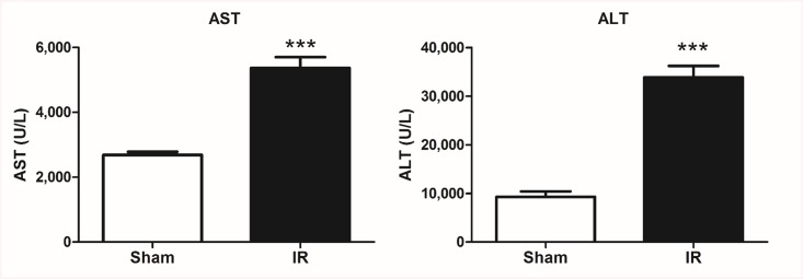 Fig 7