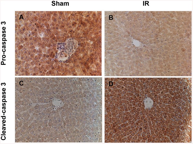 Fig 8