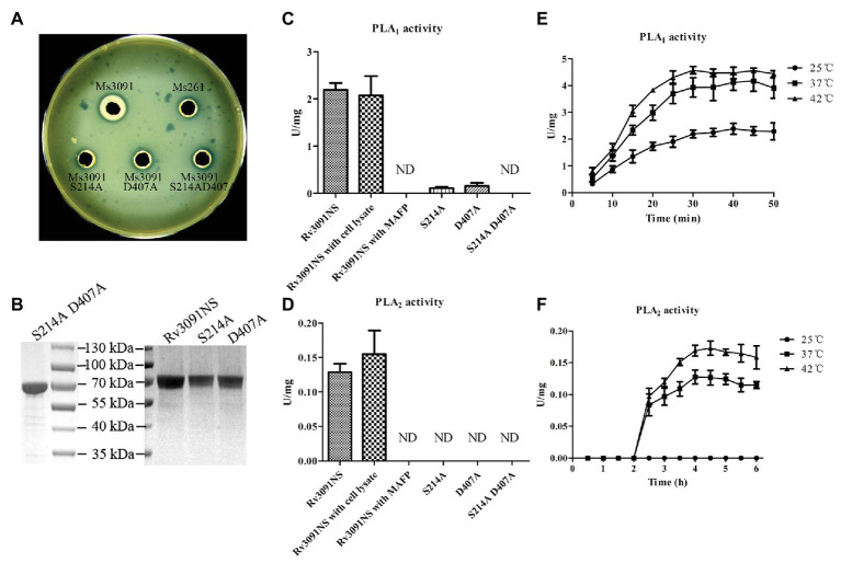 Figure 7