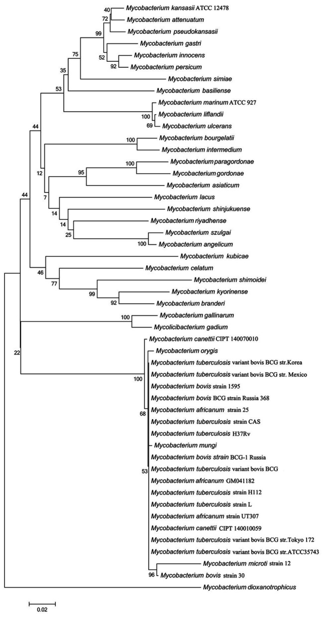 Figure 2