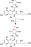 Fig. 7