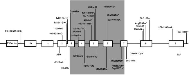 Figure  2