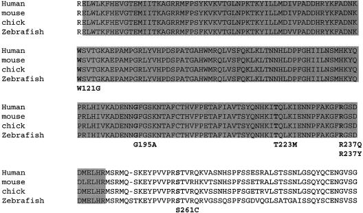 Figure  3