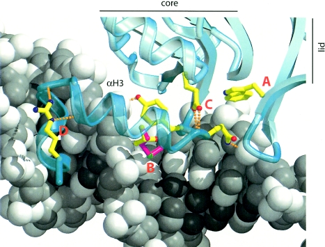 Figure  4