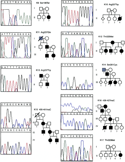 Figure  1