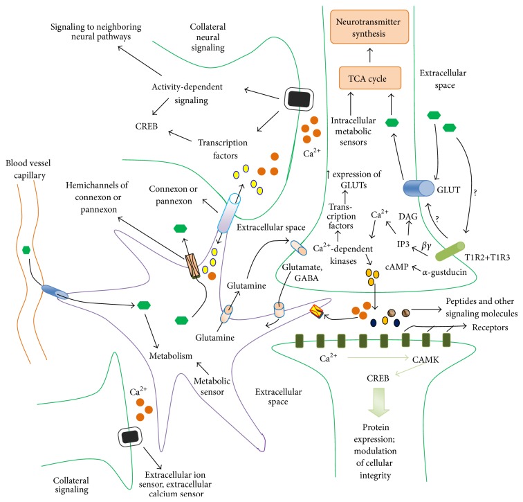 Figure 2