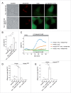 Figure 11.