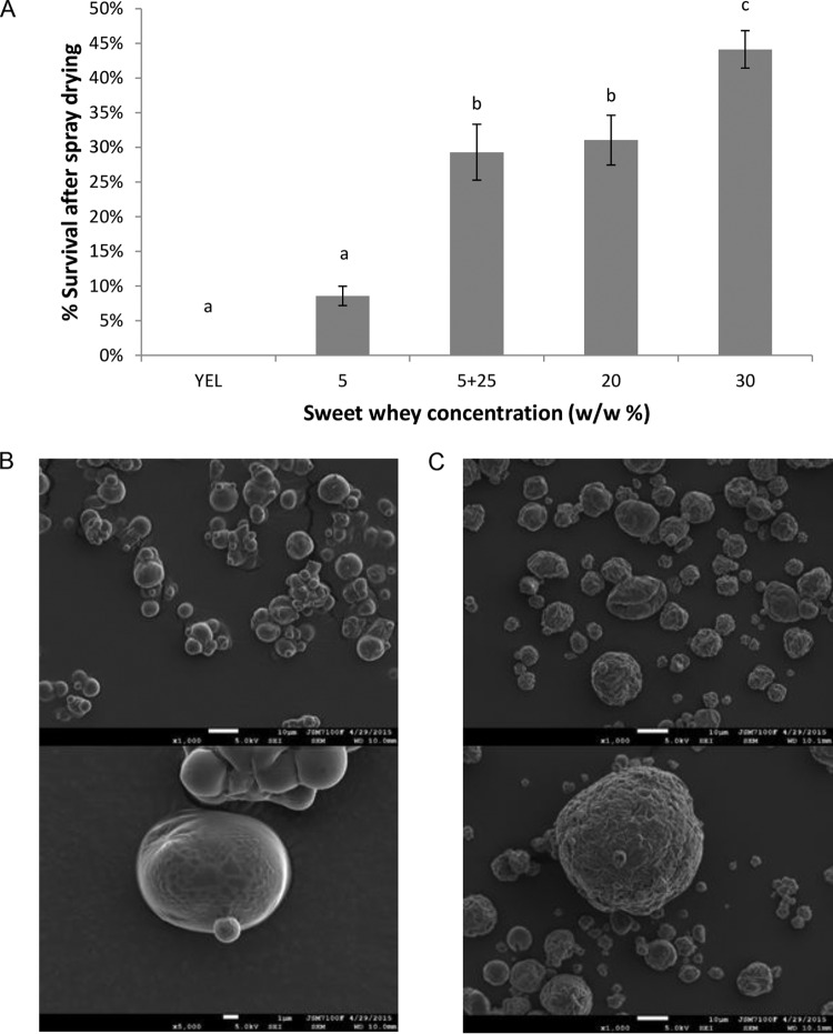 FIG 5