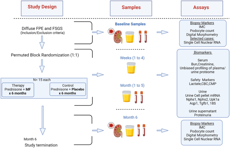 Figure 3