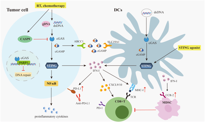 Figure 3: