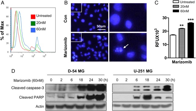 Fig. 2.