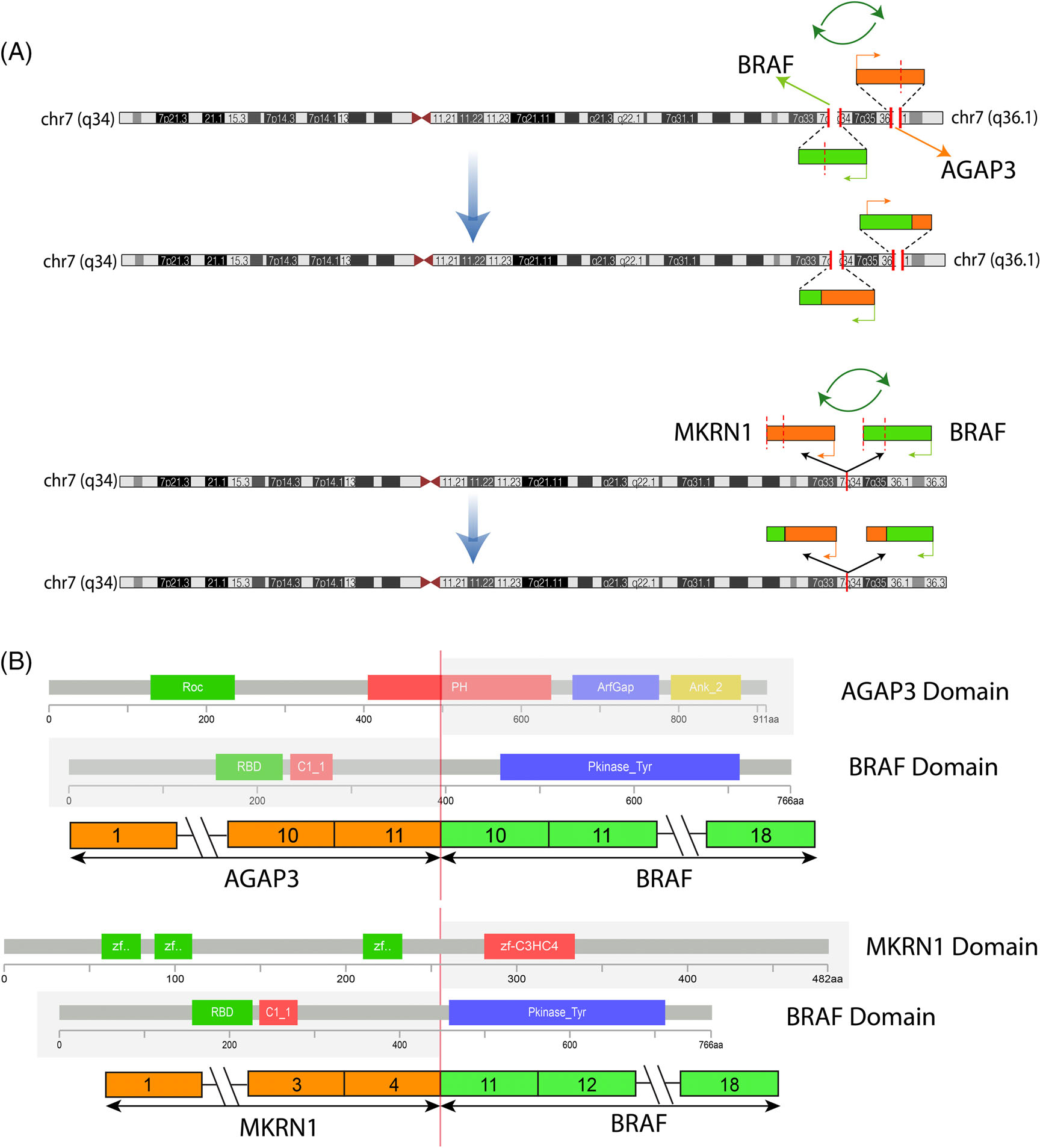 FIGURE 3