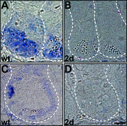 FIG. 6.