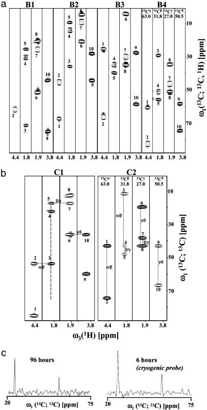 Fig. 5.